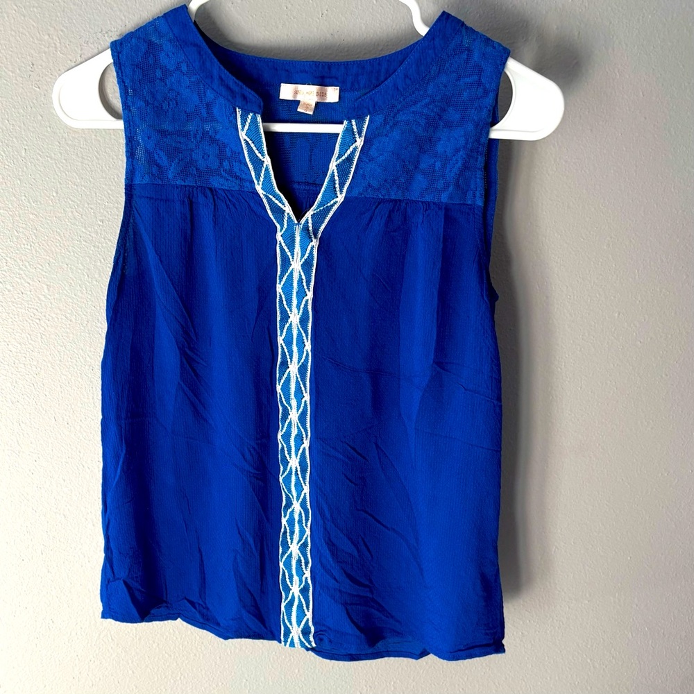 Blue Sleeveless V-beck Top with Embroidered Detail by Skies are Blue